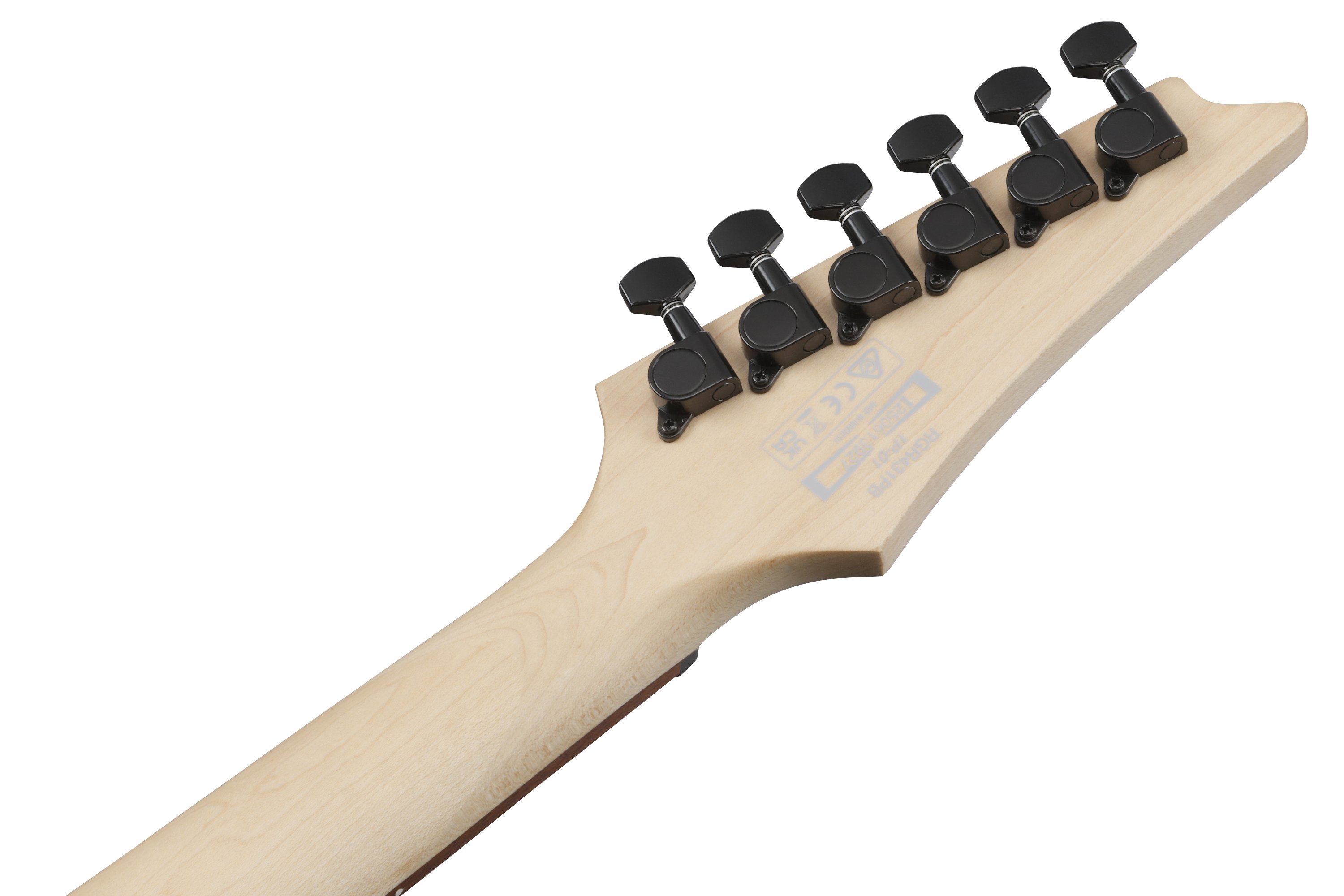 RGR431PB-CGF RG Charcoal Gray E-Gitarre   